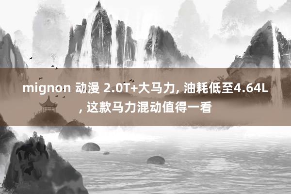mignon 动漫 2.0T+大马力， 油耗低至4.64L， 这款马力混动值得一看