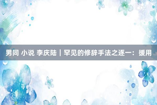 男同 小说 李庆陆|罕见的修辞手法之逐一:援用