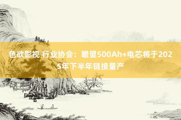 色欲影视 行业协会：瞻望500Ah+电芯将于2025年下半年链接量产